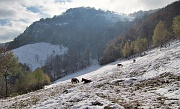 16 Le pendici del Linzone viste da  Sclapa...